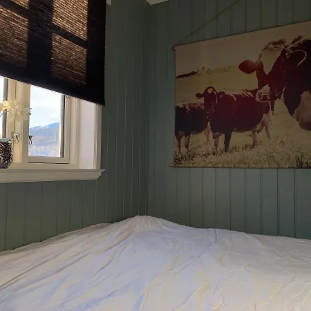 Lemonsjoen-jotunheimen-besseggen Ferienhaus *