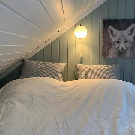 Lemonsjoen-jotunheimen-besseggen Ferienhaus