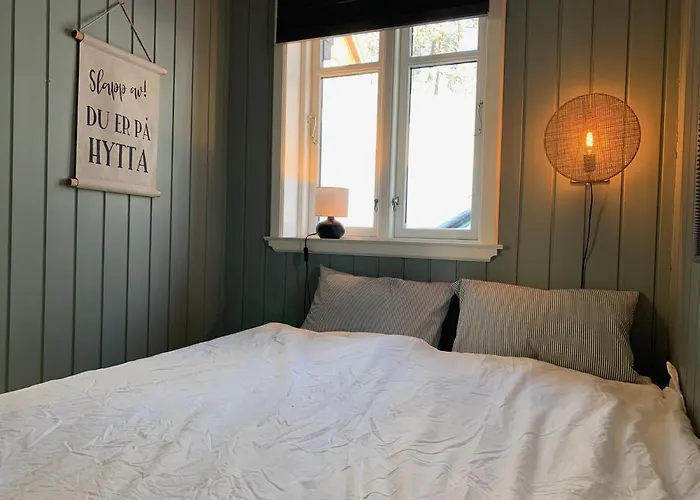 Casa vacanze Lemonsjoen-jotunheimen-besseggen Stuttgongfossen