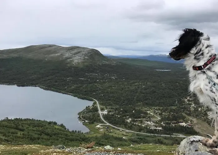 Casa vacanze Lemonsjoen-jotunheimen-besseggen Stuttgongfossen