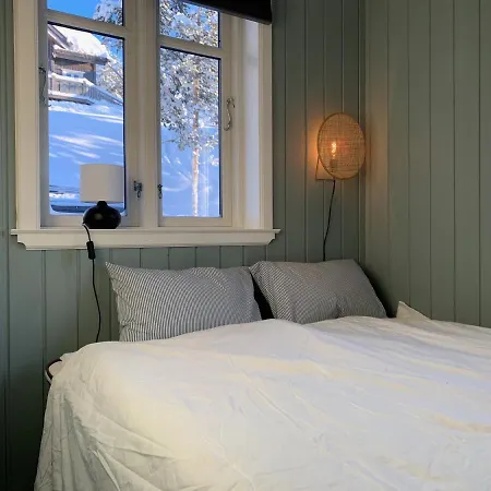 Lemonsjoen-jotunheimen-besseggen Stuttgongfossen