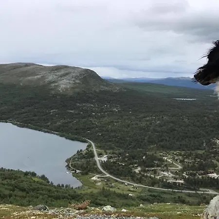 Vakantiehuis Lemonsjoen-jotunheimen-besseggen Stuttgongfossen